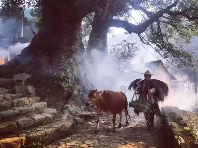 沙滩度假